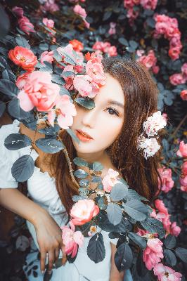 欧美成人在线视频